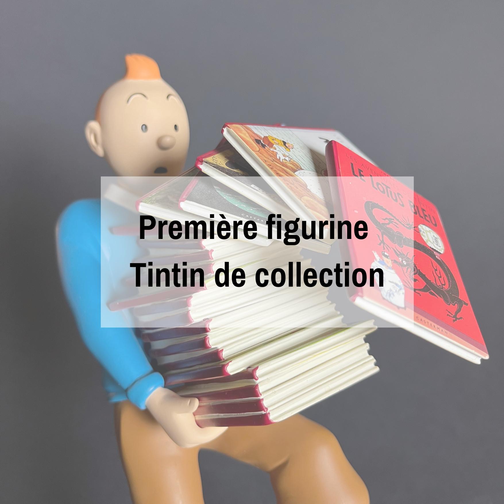 Acheter sa première figurine Tintin de collection – Galerie Neuf