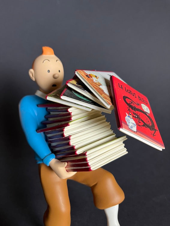 Tintin tenant les albums (1)